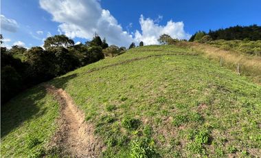 LOTES EN VENTA CALDAS LA MIEL