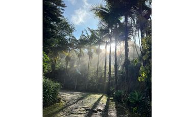 LOTES EN VENTA CALDAS LA MIEL