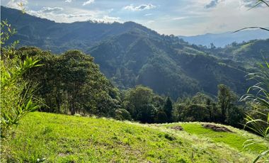 LOTES EN VENTA CALDAS LA MIEL