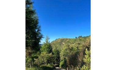 LOTES EN VENTA CALDAS LA MIEL