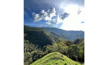 LOTES EN VENTA CALDAS LA MIEL