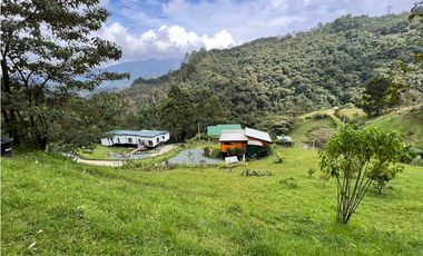 LOTES EN VENTA CALDAS LA MIEL