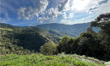 LOTES EN VENTA CALDAS LA MIEL