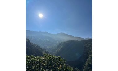 LOTES EN VENTA CALDAS LA MIEL