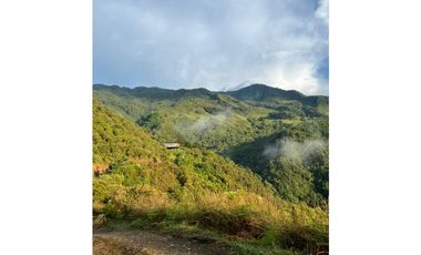 LOTES EN VENTA CALDAS LA MIEL