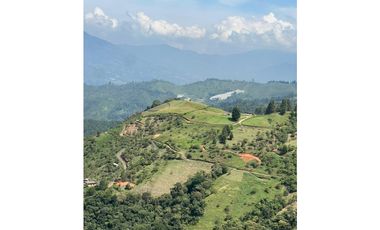 LOTES EN VENTA CALDAS LA MIEL