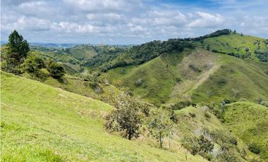 Venta de Finca de 20 hectáreas en San Roque, Antioquia