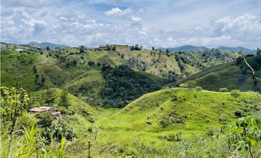 Venta de Finca de 20 hectáreas en San Roque, Antioquia