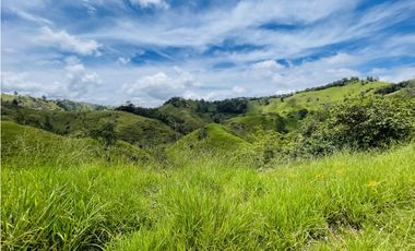 Venta de Finca de 20 hectáreas en San Roque, Antioquia