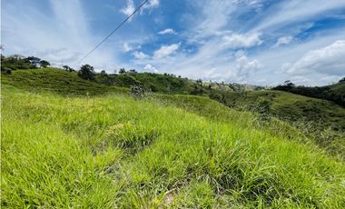 Venta de Finca de 20 hectáreas en San Roque, Antioquia