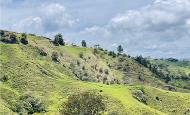 Venta de Finca de 20 hectáreas en San Roque, Antioquia