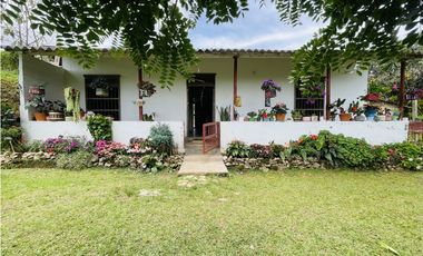 Venta de Finca de 20 hectáreas en San Roque, Antioquia
