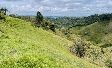 Venta de Finca de 20 hectáreas en San Roque, Antioquia