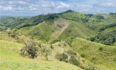 Venta de Finca de 20 hectáreas en San Roque, Antioquia