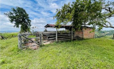 Venta de Finca de 20 hectáreas en San Roque, Antioquia