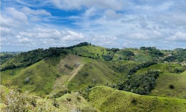 Venta de Finca de 20 hectáreas en San Roque, Antioquia