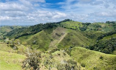 Venta de Finca de 20 hectáreas en San Roque, Antioquia