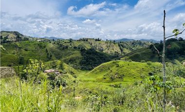 Venta de Finca de 20 hectáreas en San Roque, Antioquia