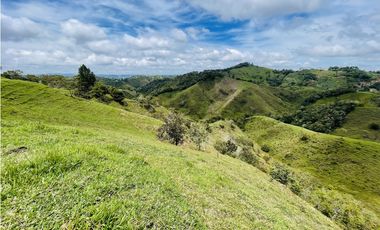 Venta de Finca de 20 hectáreas en San Roque, Antioquia