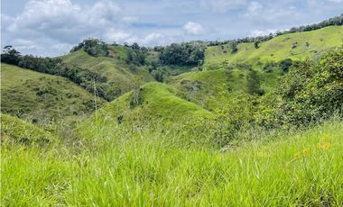 Venta de Finca de 20 hectáreas en San Roque, Antioquia