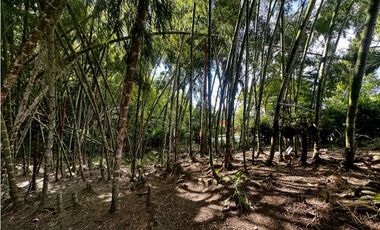 CASA CAMPESTRE AMOBLADA EN RENTA CERRITOS PEREIRA