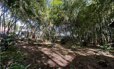 CASA CAMPESTRE AMOBLADA EN RENTA CERRITOS PEREIRA