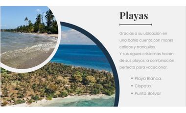 LOTES URBANOS EN VENTA EN SAN ANTERO CORDOBA