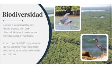 LOTES URBANOS EN VENTA EN SAN ANTERO CORDOBA