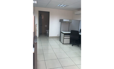ALQUILER DE OFICINA EN EL CANGREJO