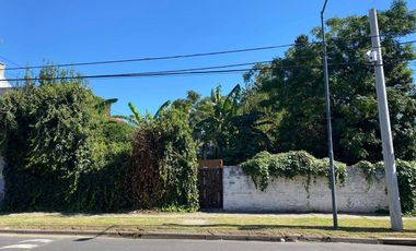 Terreno / Lote en venta de 620m2 ubicado en Adrogué