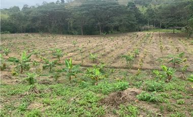 En Venta Finca de 19.55 Hectáreas vía Chone - Quito