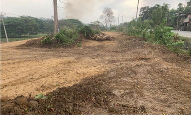 En Venta Finca de 19.55 Hectáreas vía Chone - Quito