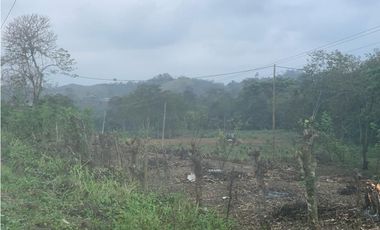 En Venta Finca de 19.55 Hectáreas vía Chone - Quito