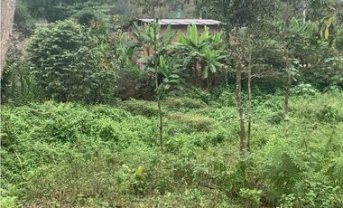 En Venta Finca de 19.55 Hectáreas vía Chone - Quito