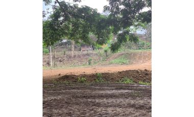 En Venta Finca de 19.55 Hectáreas vía Chone - Quito