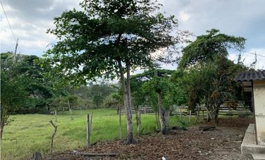 En Venta Finca de 19.55 Hectáreas vía Chone - Quito
