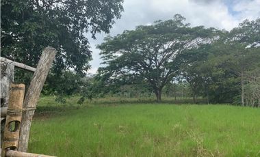 En Venta Finca de 19.55 Hectáreas vía Chone - Quito