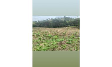 En Venta Finca de 19.55 Hectáreas vía Chone - Quito
