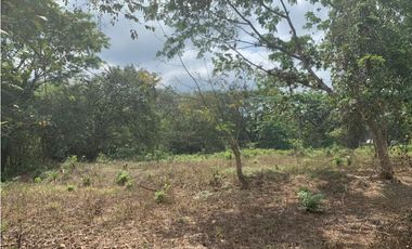 En Venta Finca de 19.55 Hectáreas vía Chone - Quito