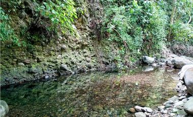 Vendo hermosa finca de 12 ha con 2 casas en Caldera, Boquete