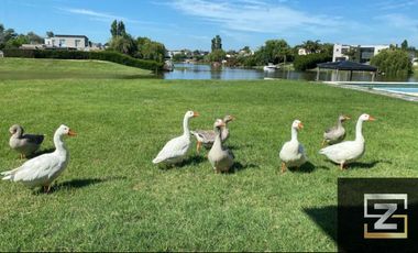 Casa en venta de 4 dormitorios con muelle de 40 mtrs en San Benito Tigre
