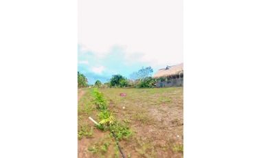 Lote en venta en San Bernardo del viento