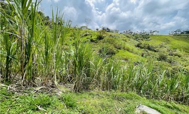 Se vende finca de 7 Hectáreas en San Roque, Antioquia