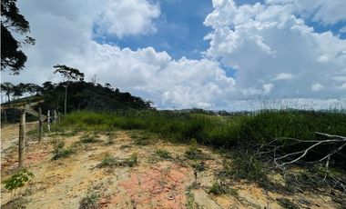 Se vende finca de 7 Hectáreas en San Roque, Antioquia