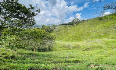 Se vende finca de 7 Hectáreas en San Roque, Antioquia