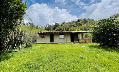Se vende finca de 7 Hectáreas en San Roque, Antioquia