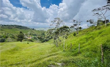 Se vende finca de 7 Hectáreas en San Roque, Antioquia