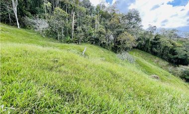 Se vende finca de 7 Hectáreas en San Roque, Antioquia