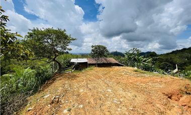 Se vende finca de 7 Hectáreas en San Roque, Antioquia