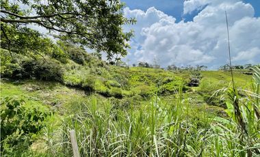 Se vende finca de 7 Hectáreas en San Roque, Antioquia